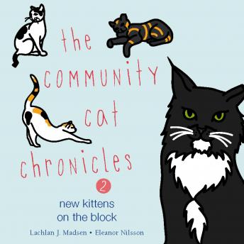 The Community Cat Chronicles 2: New kittens on the block