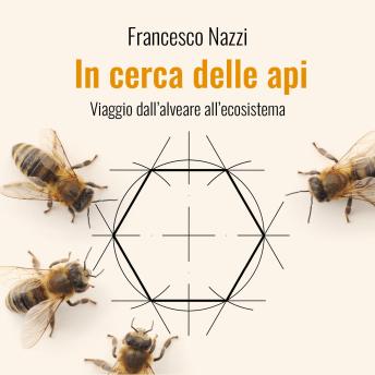 [Italian] - In cerca delle api