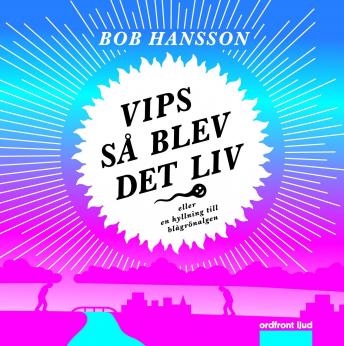 Vips så blev det liv!, Bob Hansson