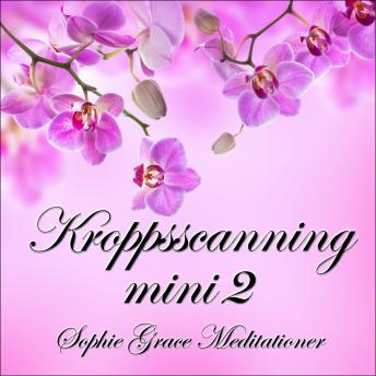 [Swedish] - Kroppsscanning mini 2
