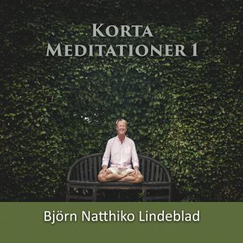 [Swedish] - Korta Meditationer 1