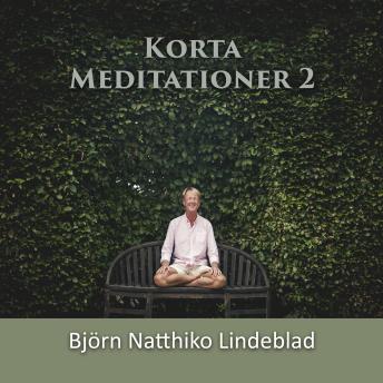 [Swedish] - Korta Meditationer 2