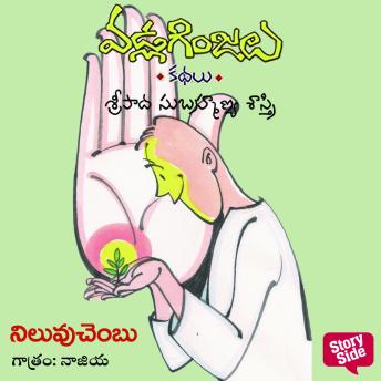 [Telugu] - Niluvu chambu - Vadla Ginjalu (నిలువు చంబు)