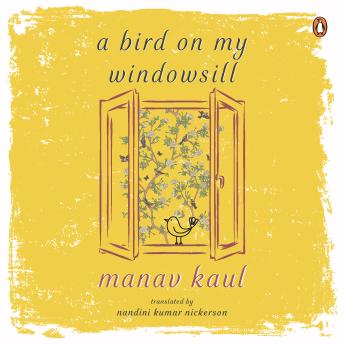 Download Bird on My Windowsill by Manav Kaul
