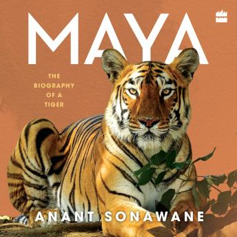 Maya: The Biography of a Tiger