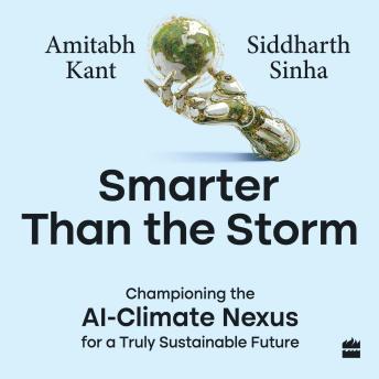 Smarter Than the Storm: Championing the AI-Climate Nexus for a Truly Sustainable Future