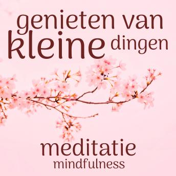 [Dutch; Flemish] - Genieten van de Kleine Dingen: Mindfulness Meditatie