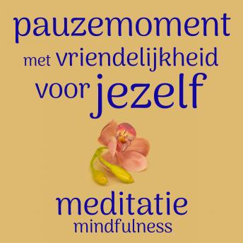 [Dutch] - Pauzemoment met Vriendelijkheid Voor Jezelf: Mindfulness Meditatie