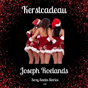 [Dutch; Flemish] - Kerst: Kerstcadeau: Sexy Santa Stories 12