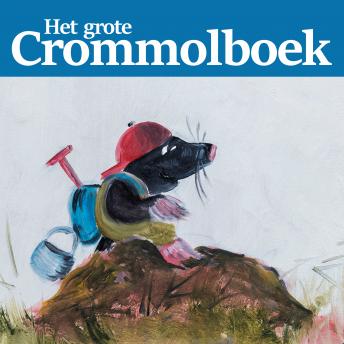 [Dutch] - Het grote Crommolboek