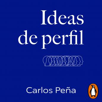[Spanish] - Ideas de perfil