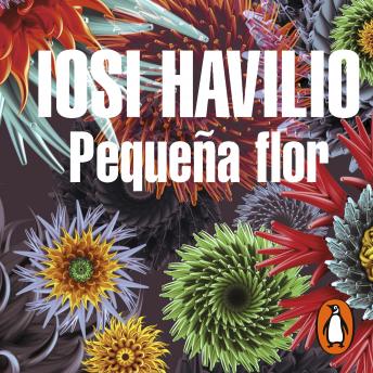 [Spanish] - Pequeña flor