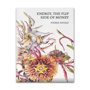 Energy, the flip side of money