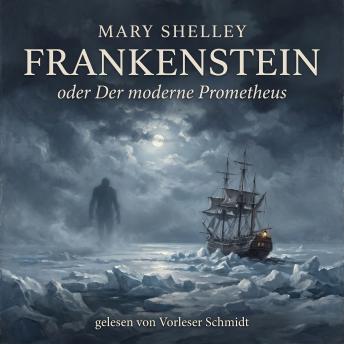 [German] - Frankenstein: oder Der moderne Prometheus — Roman — Neuübersetzung