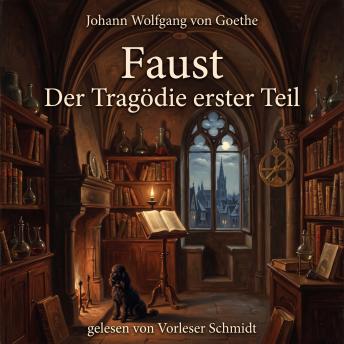 [German] - Faust. Der Tragödie erster Teil: Drama in Versen