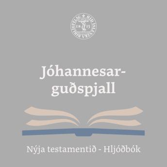 [Icelandic] - Jóhannesarguðspjall