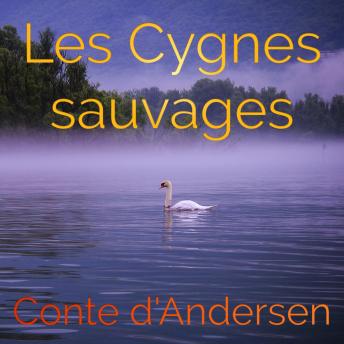 [French] - Les Cygnes sauvagess