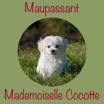 [French] - Mademoiselle Cocotte