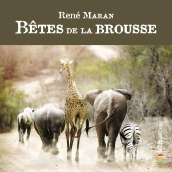 [French] - Bêtes de la Brousse