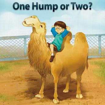 One Hump or Two?: Level 3 - 2