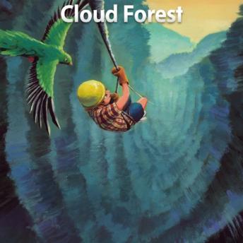 Cloud Forest: Level 5 - 12