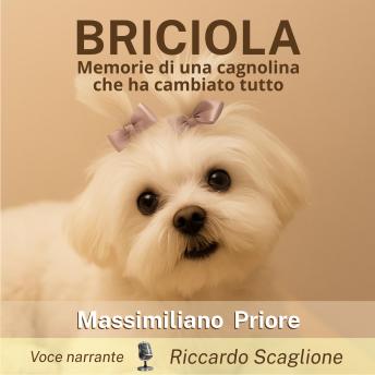 BRICIOLA - Memorie di una cagnolina che ha cambiato tutto - Massimiliano Priore BRICIOLA - Memorie di una cagnolina che ha cambiato tutto - Massimiliano Priore