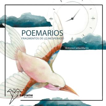 [Spanish] - Poemario: Fragmentos de lo inesperado