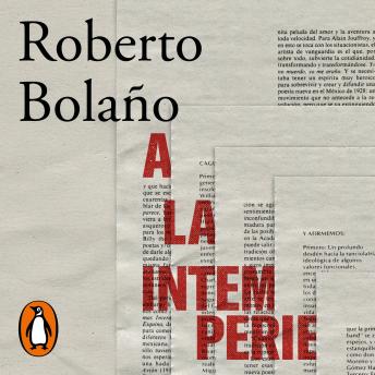 [Spanish] - A la intemperie: Colaboraciones periodísticas, intervenciones públicas y ensayos