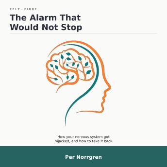 The Alarm That Would Not Stop