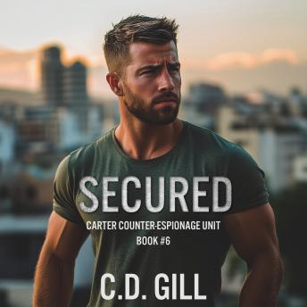 Secured: Fake Marriage, Protector Hero, Slow-Burn Romantic Suspense