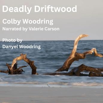 Deadly Driftwood: A Sequel to Revenge Falls