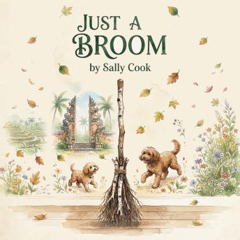 Just A Broom