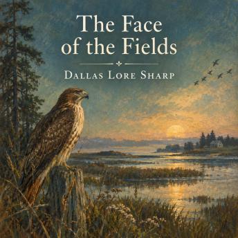 The Face of the Fields