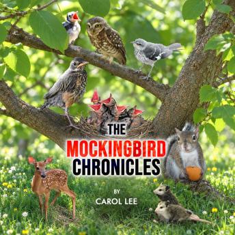 The Mockingbird Chronicles: The Early Days of a Wildlife Rehabilitation Center