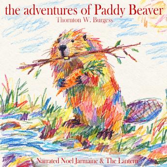 The Adventures Of Paddy Beaver