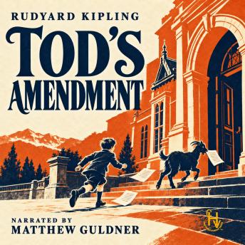 Tod's Amendment