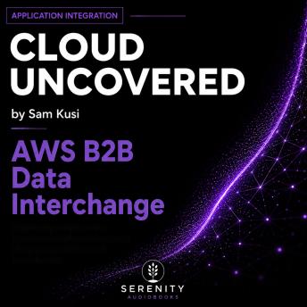 AWS B2B Data Interchange