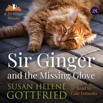 Sir Ginger and the Missing Glove