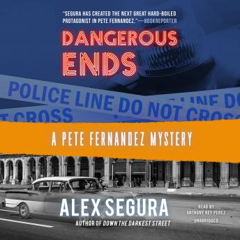 Dangerous Ends: A Pete Fernandez Mystery sample.