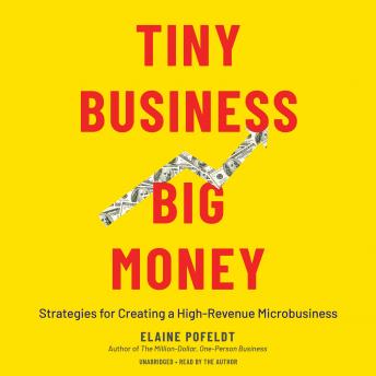 Tiny Business, Big Money: Strategies for Creating a High-Revenue Microbusiness