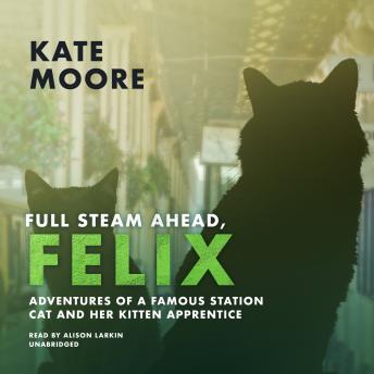 Full Steam Ahead, Felix: Adventures of a Famous Station Cat and Her Kitten Apprentice