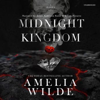 Download Midnight Kingdom by Amelia Wilde
