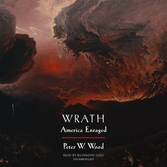 Download Wrath: America Enraged by Peter W. Wood