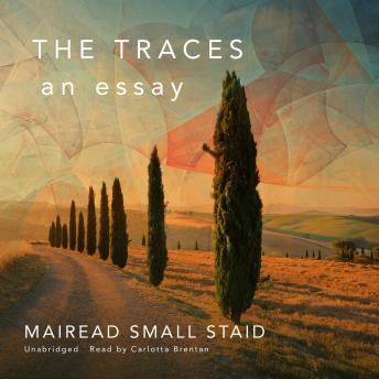 Download Traces: An Essay by Mairead Small Staid