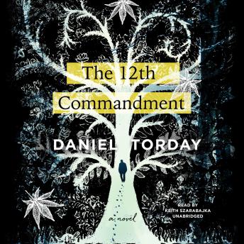12th Commandment, Audio book by Daniel Torday