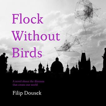 Flock without Birds