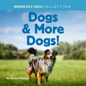 Grace Hansen - Dogs &amp; More Dogs!: Books Out Loud Collection episode artwork
