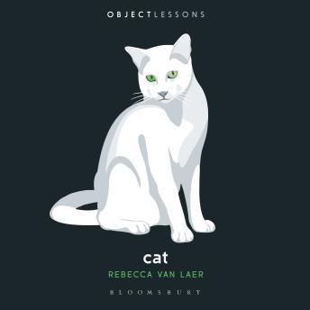 Cat: Object Lessons