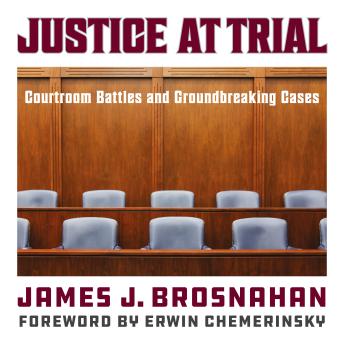 Justice at Trial: Courtroom Battles and Groundbreaking Cases