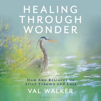 Healing Through Wonder: How Awe Restores Us After Trauma and Loss